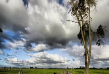 乌迪内斯足球俱乐部为何被称为意甲黑店？